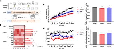 Extracellular <mark class="highlighted">Nucleosomes</mark> Accelerate Microglial Inflammation via C-Type Lectin Receptor 2D and Toll-Like Receptor 9 in mPFC of Mice With Chronic Stress